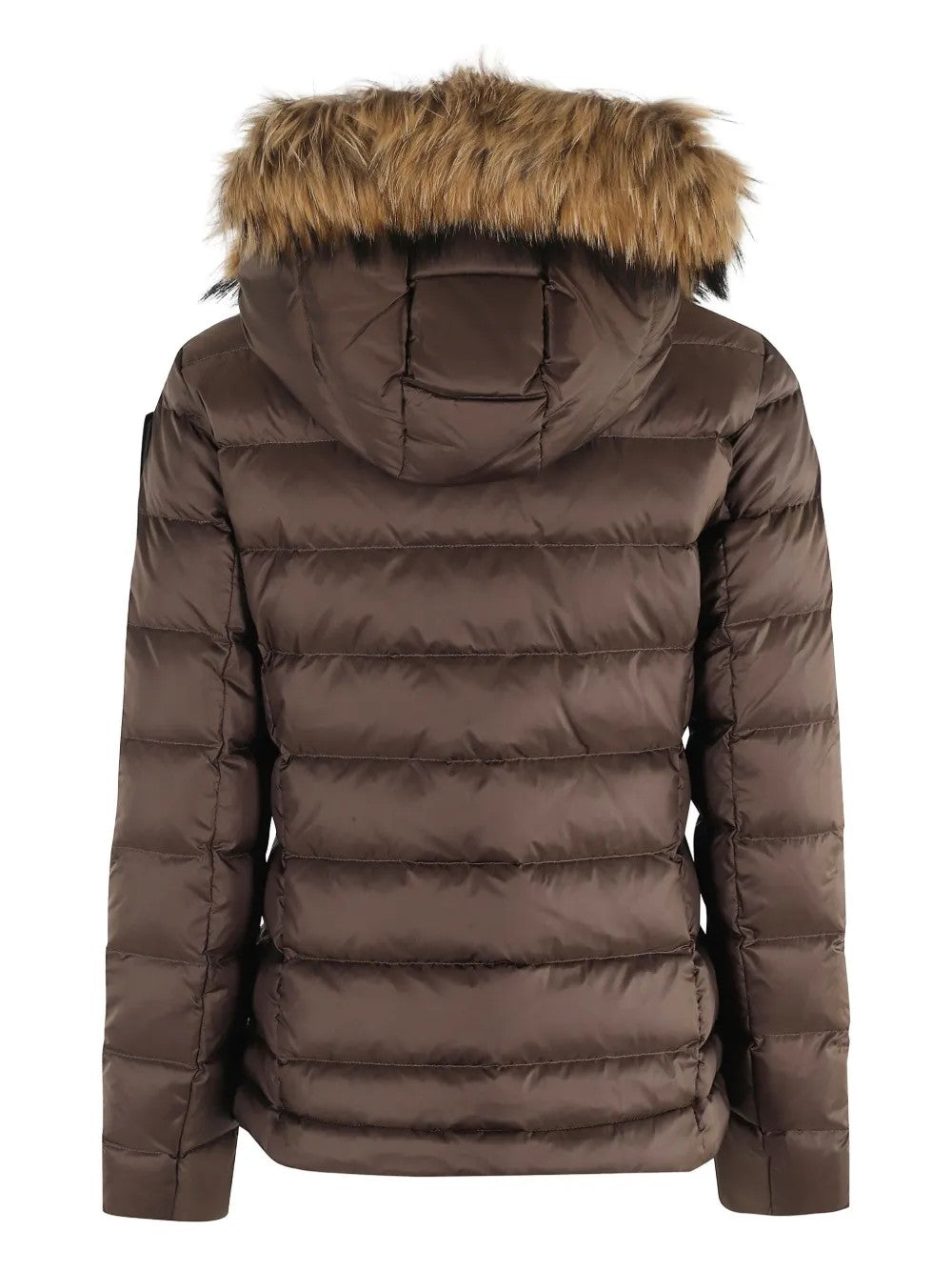 Blauer  Marrone