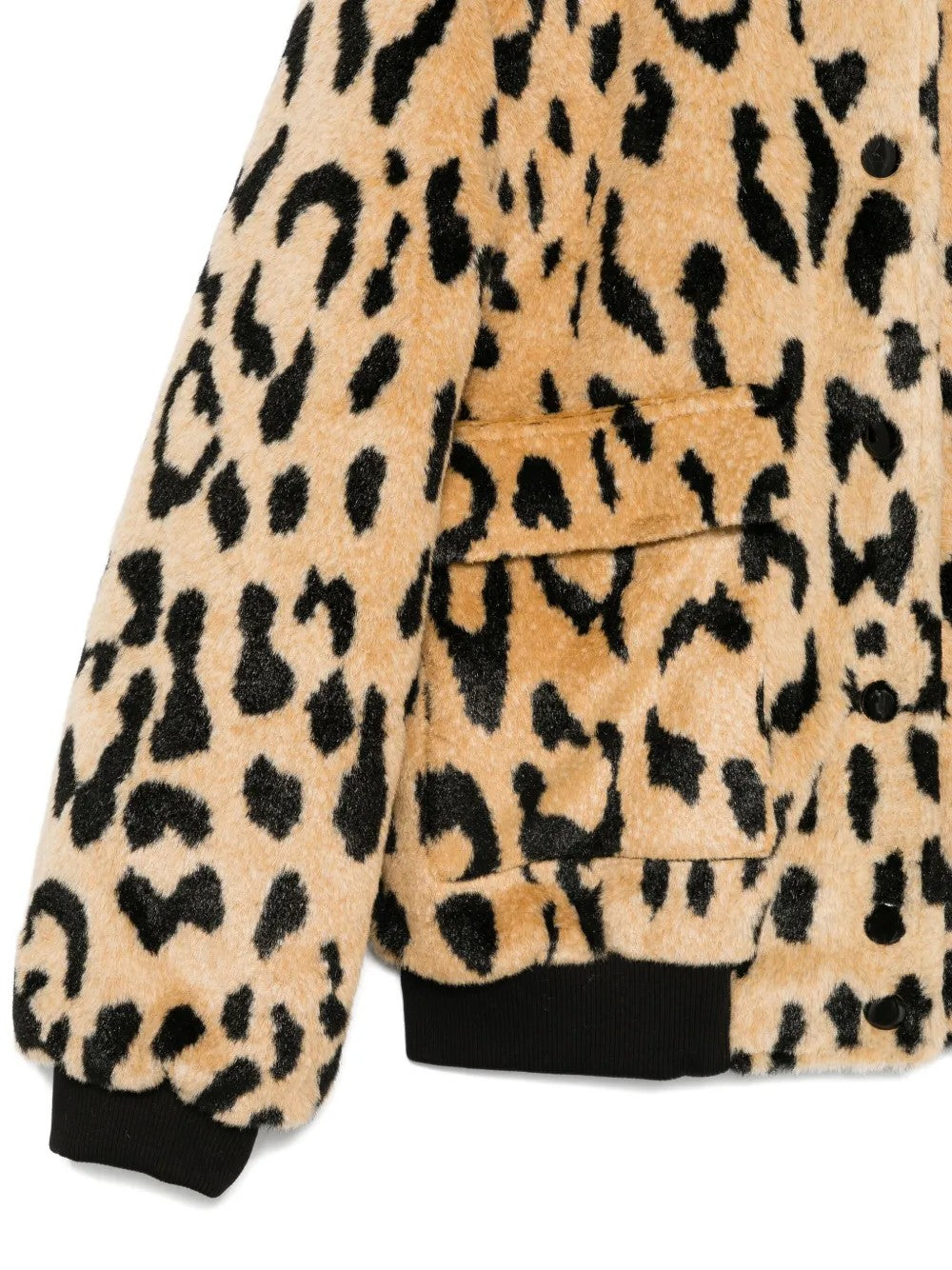 Msgm  Neutro