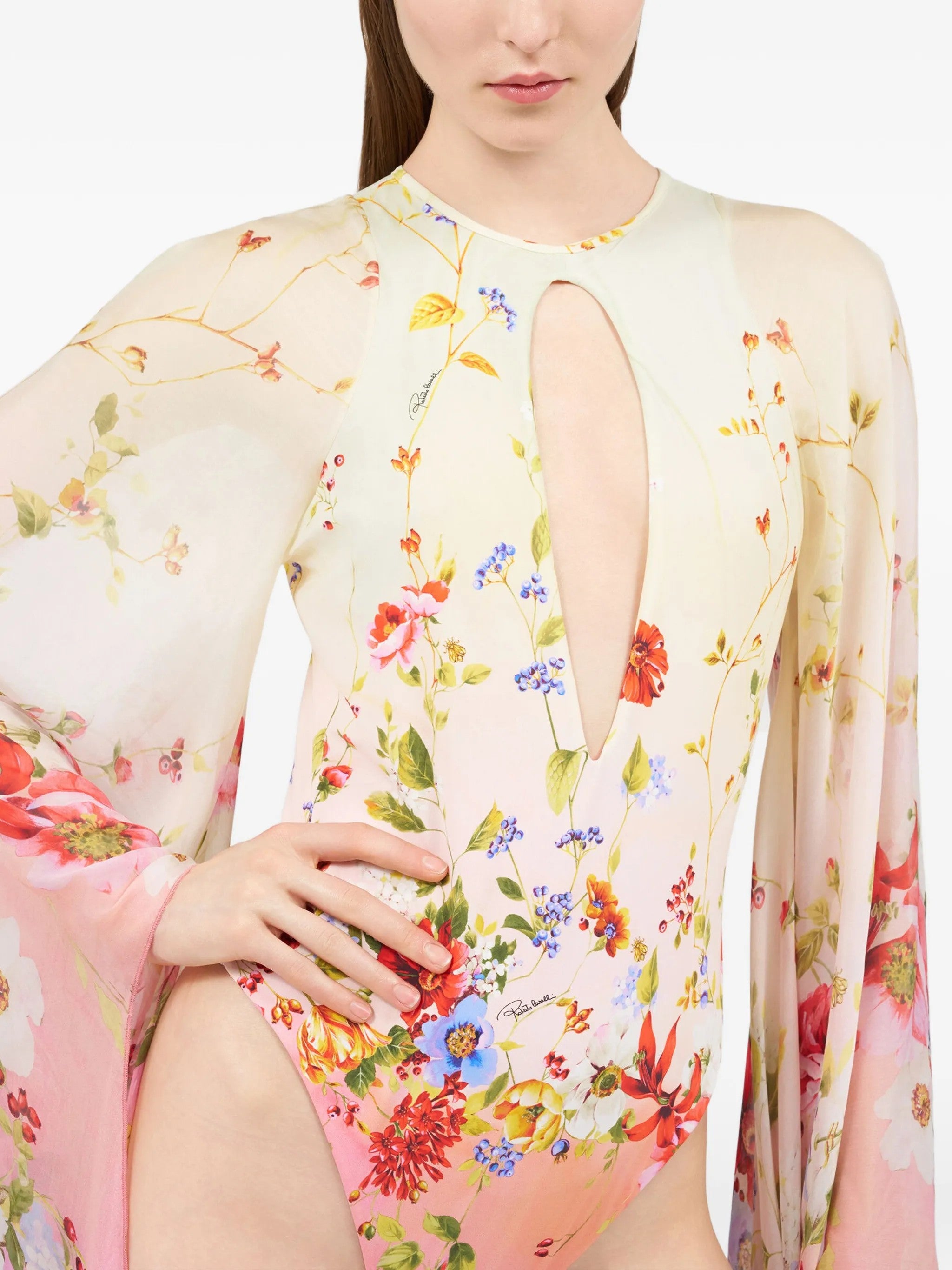 Roberto Cavalli Multicolor