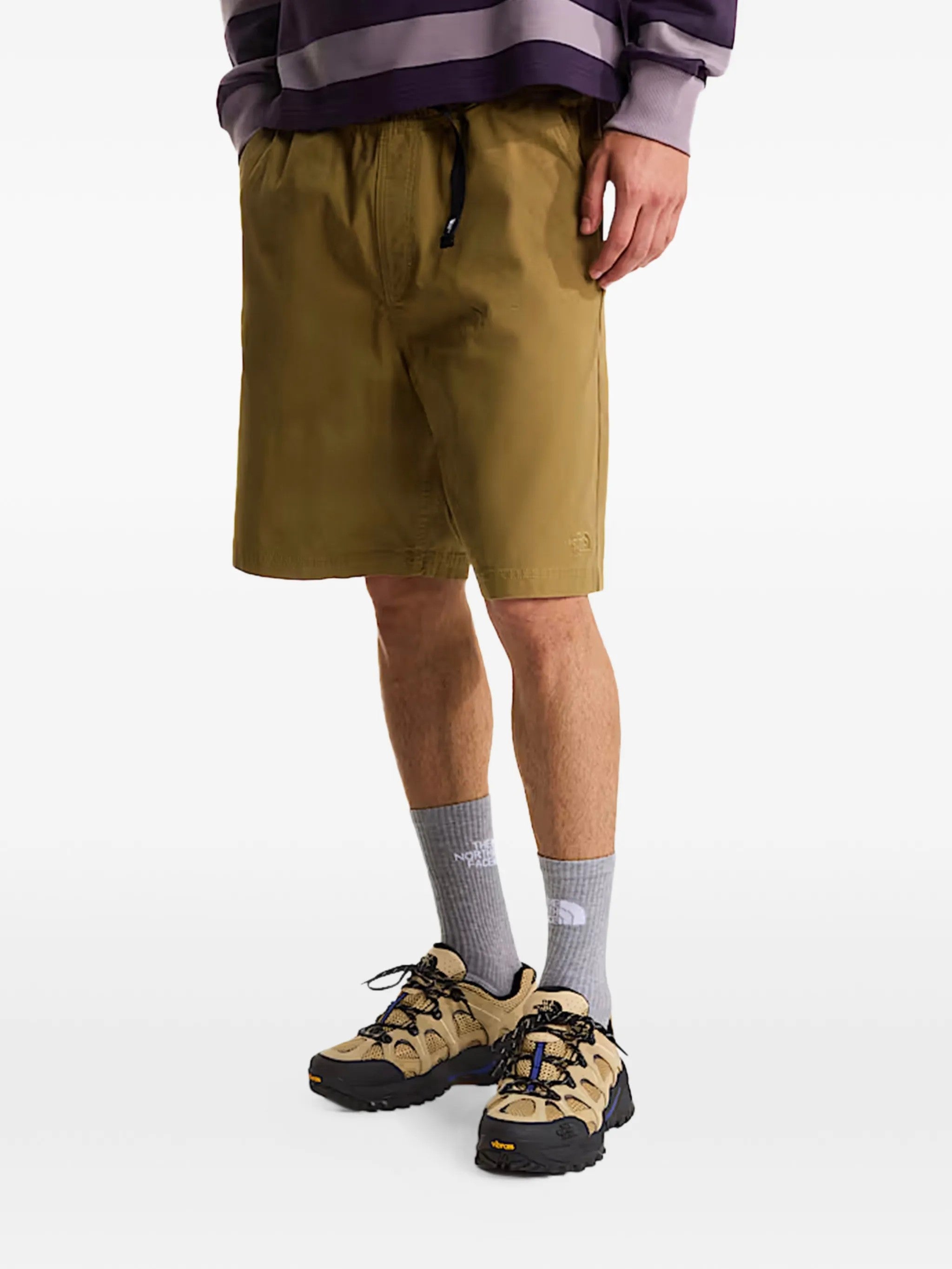 The North Face Brown