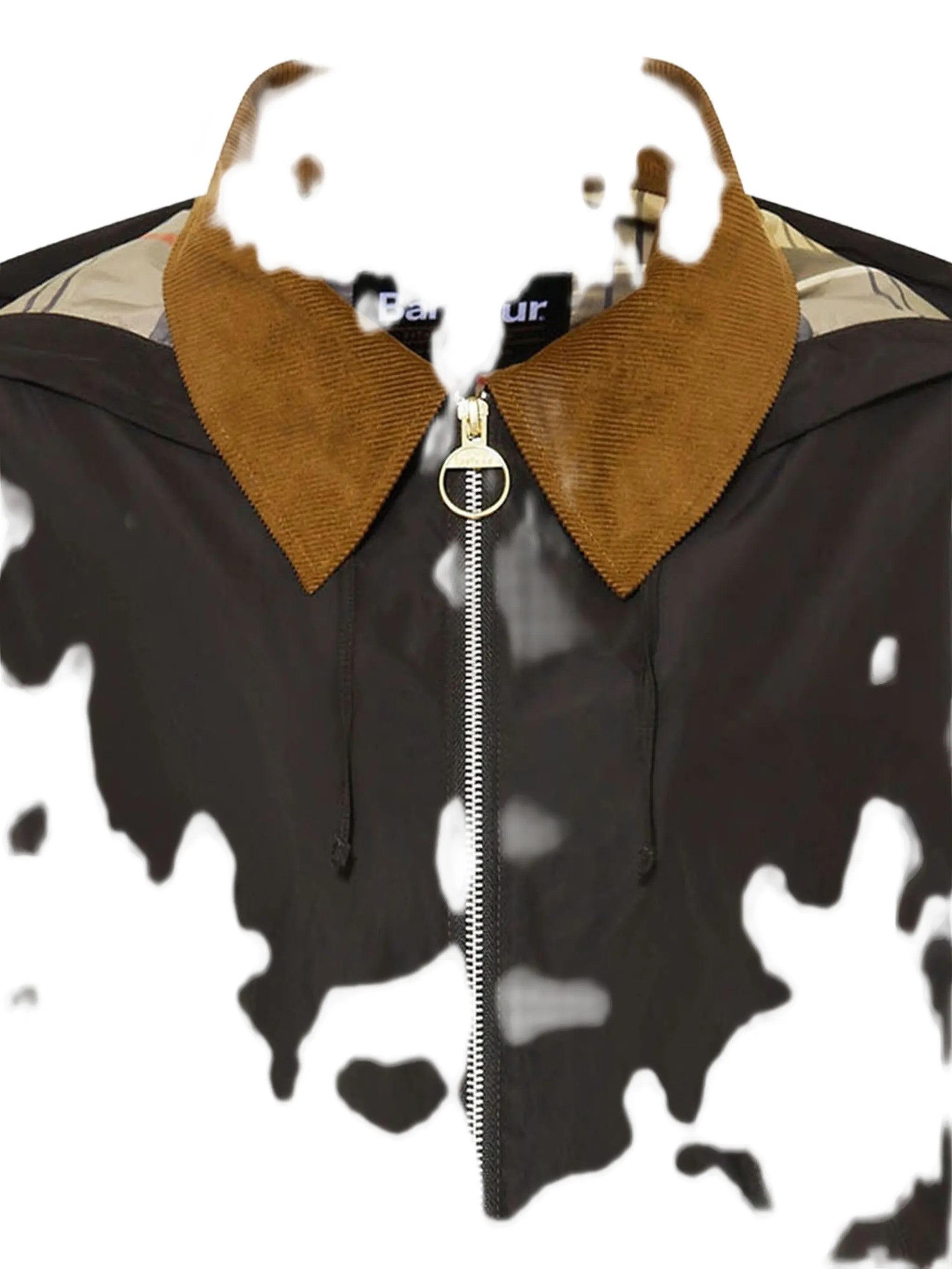 Barbour Schwarz