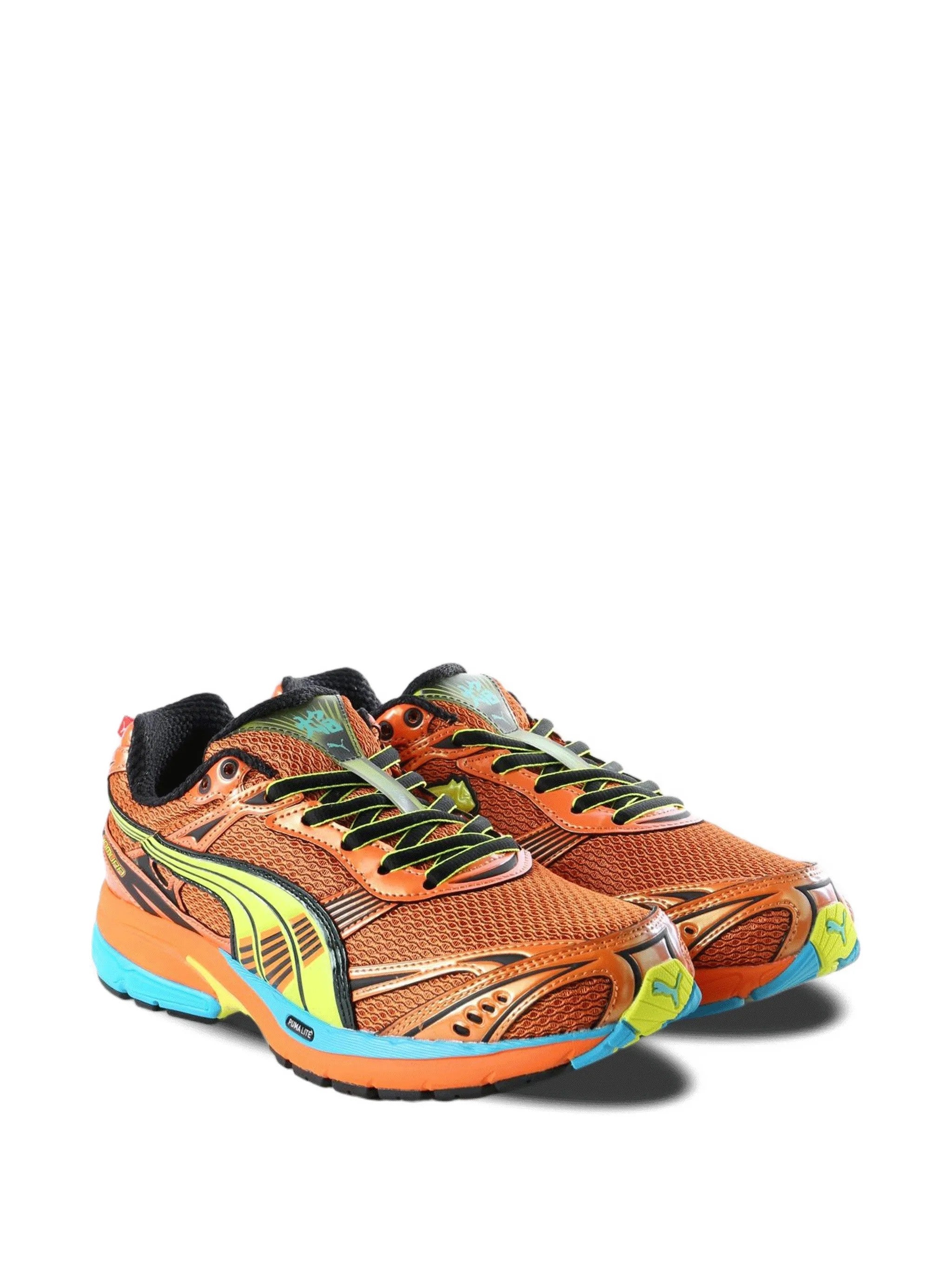 Puma  Arancione