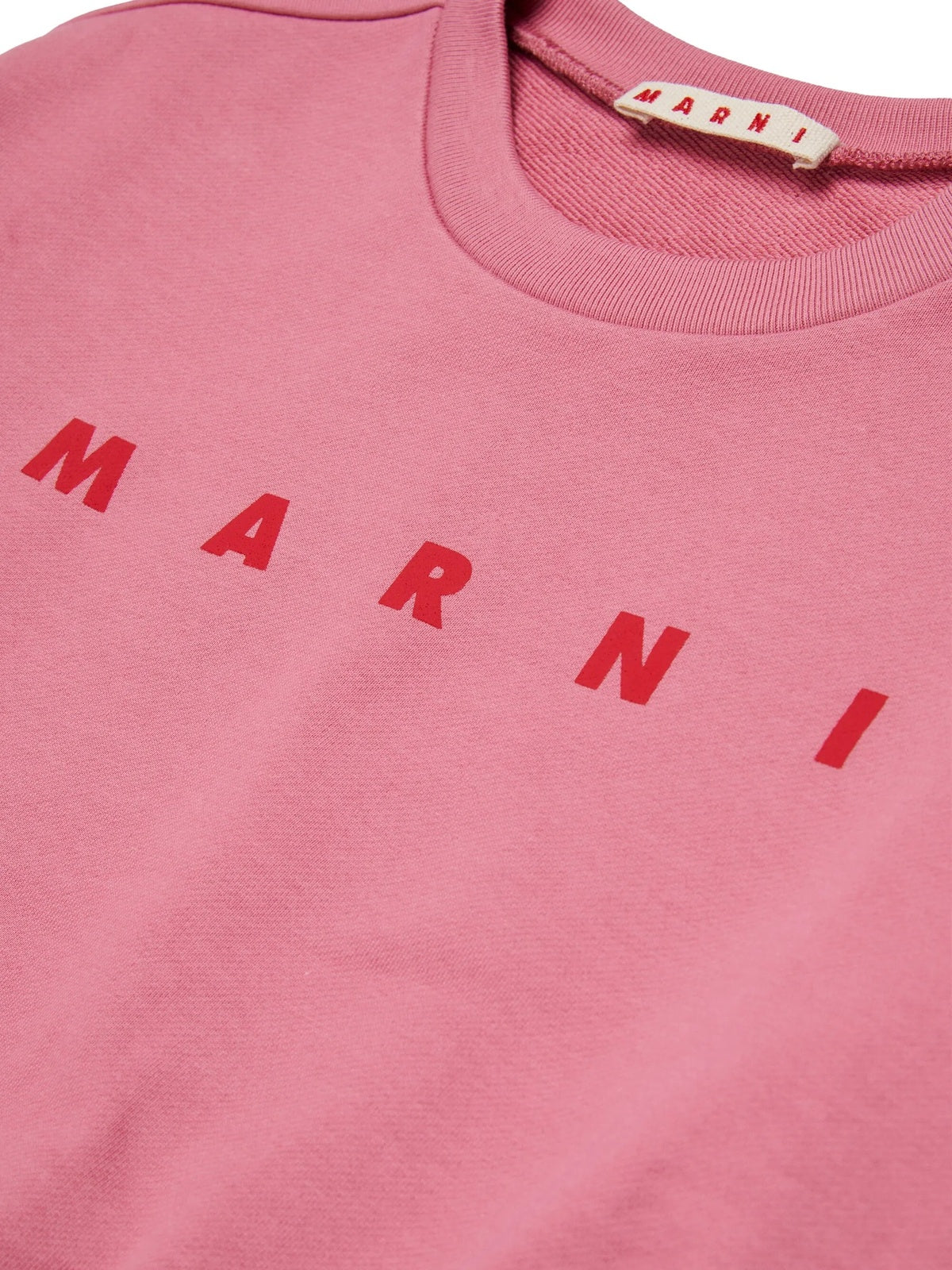 Marni  Rosa