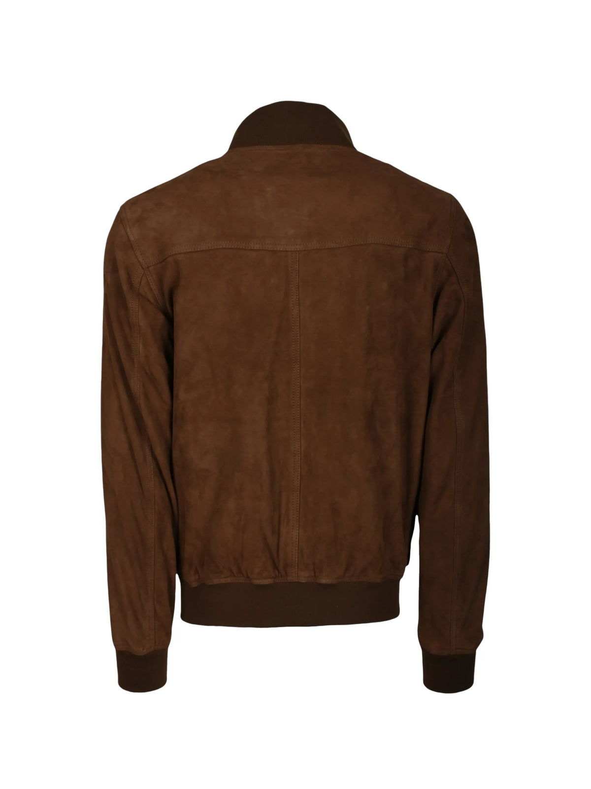 Baracuta  Verde