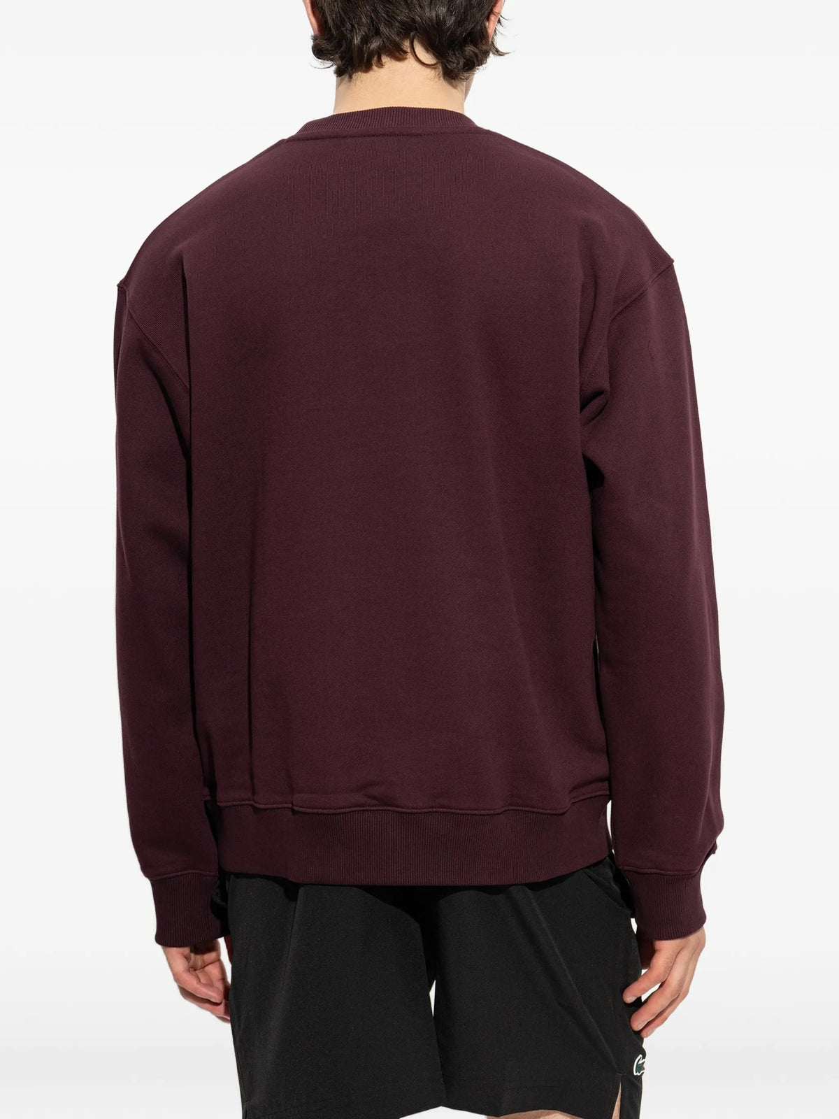 Lacoste Felpe girocollo da Uomo Lacoste, colore Marrone Marrone