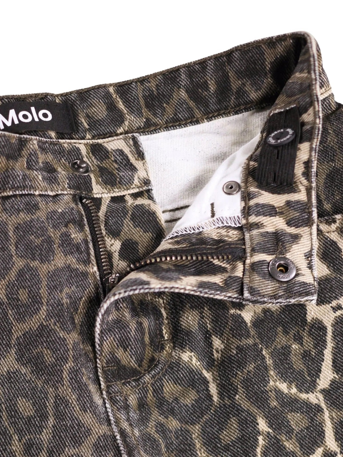 Molo  Marrone